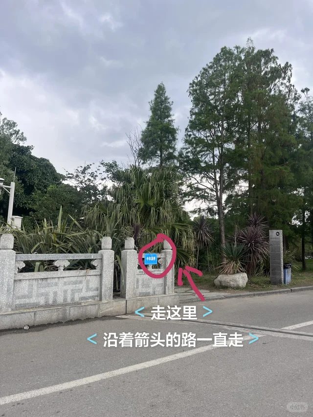才村码头